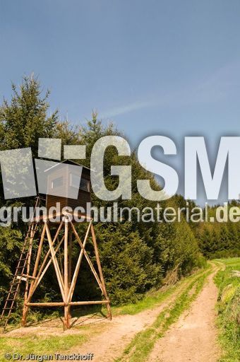 Hochstände (105 von 154).jpg